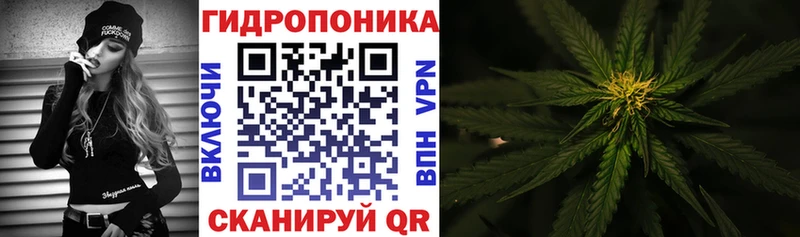Бошки Шишки ГИДРОПОН  Одинцово 